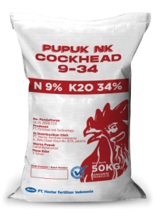 Pupuk-NK-COCKHEAD-9-34