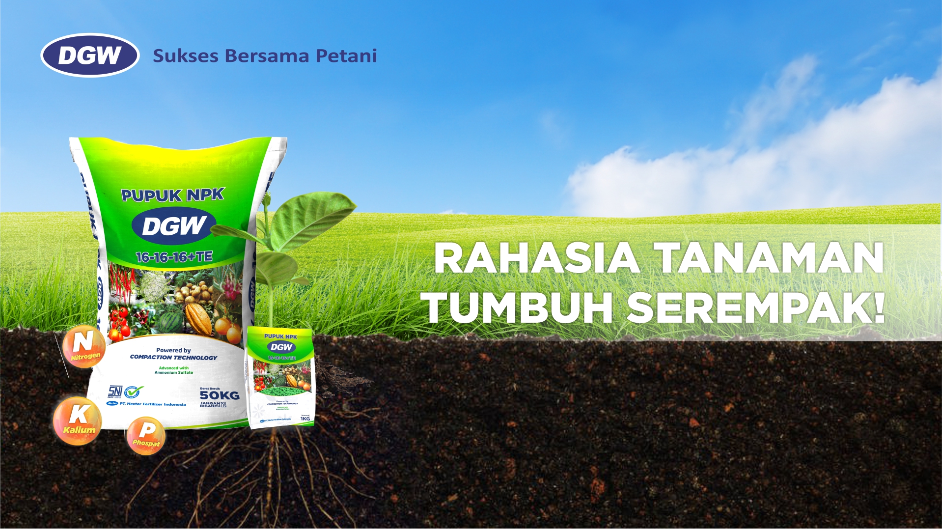 NPK DGW 16-16-16+TE, Rahasia Tanaman Tumbuh Serempak! - DGW Fertilizer