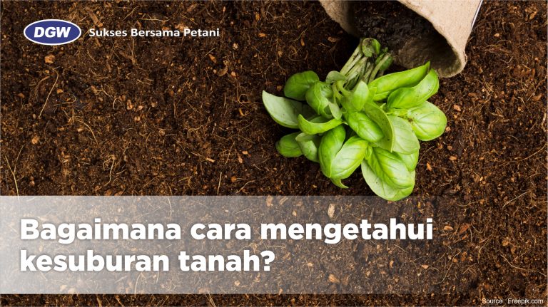 Cara-Mengetahui-Kesuburan-Tanah