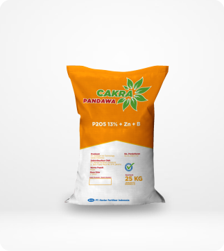 CAKRA-PANDAWA-P2O5-13%