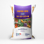 Pupuk-NPK-DGW-10-20-20-DGW-Fertilizer