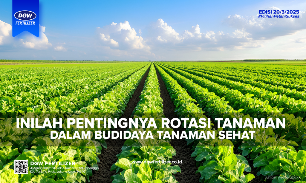 Rotasi-tanaman