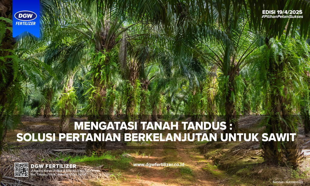 solusi-lahan-tandus