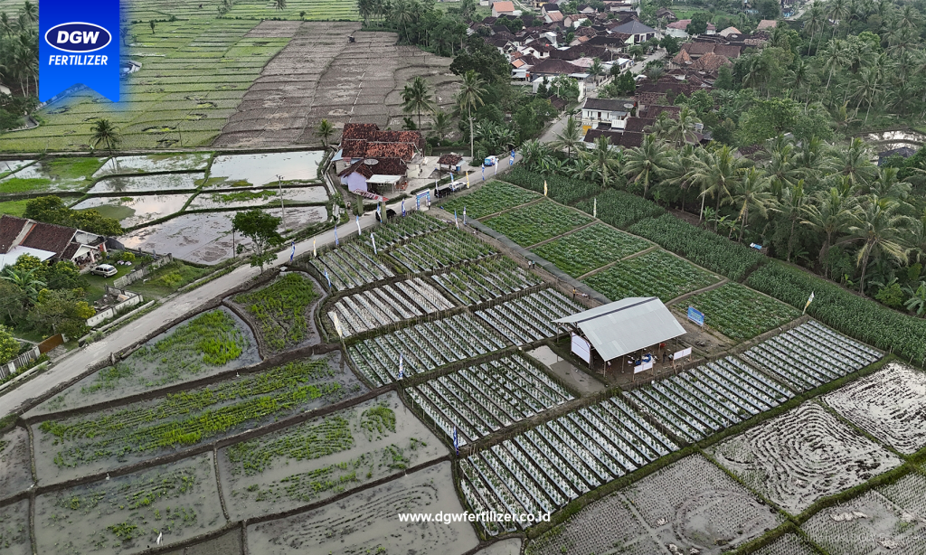 Opening-Training-Center-DGW-Fertilizer