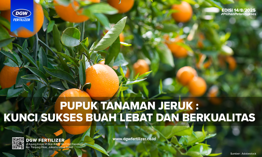 Pupuk-tanaman-jeruk