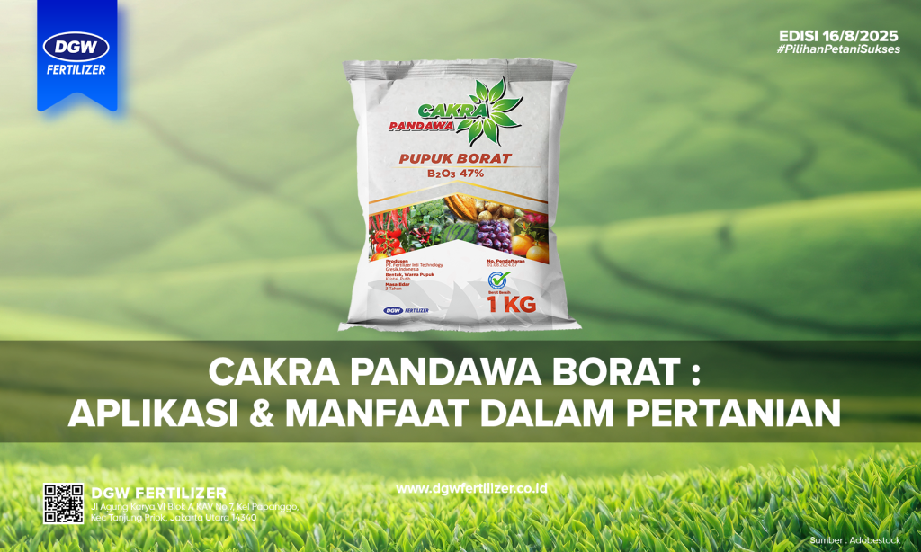 Pupuk-borat