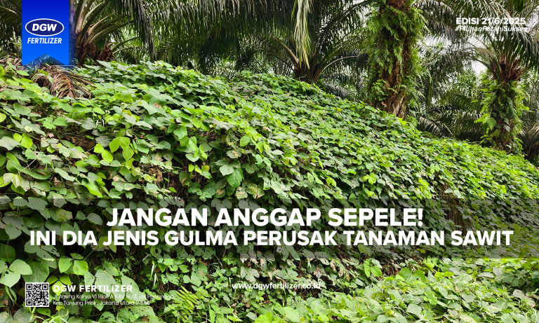 Gulma-Sawit