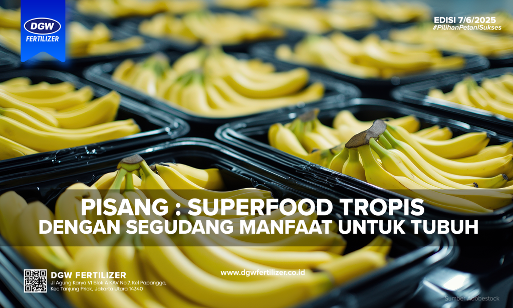 MANFAAT-PISANG