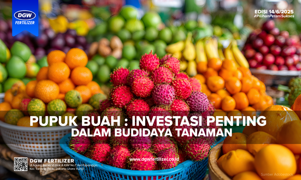 Pupuk-Buah