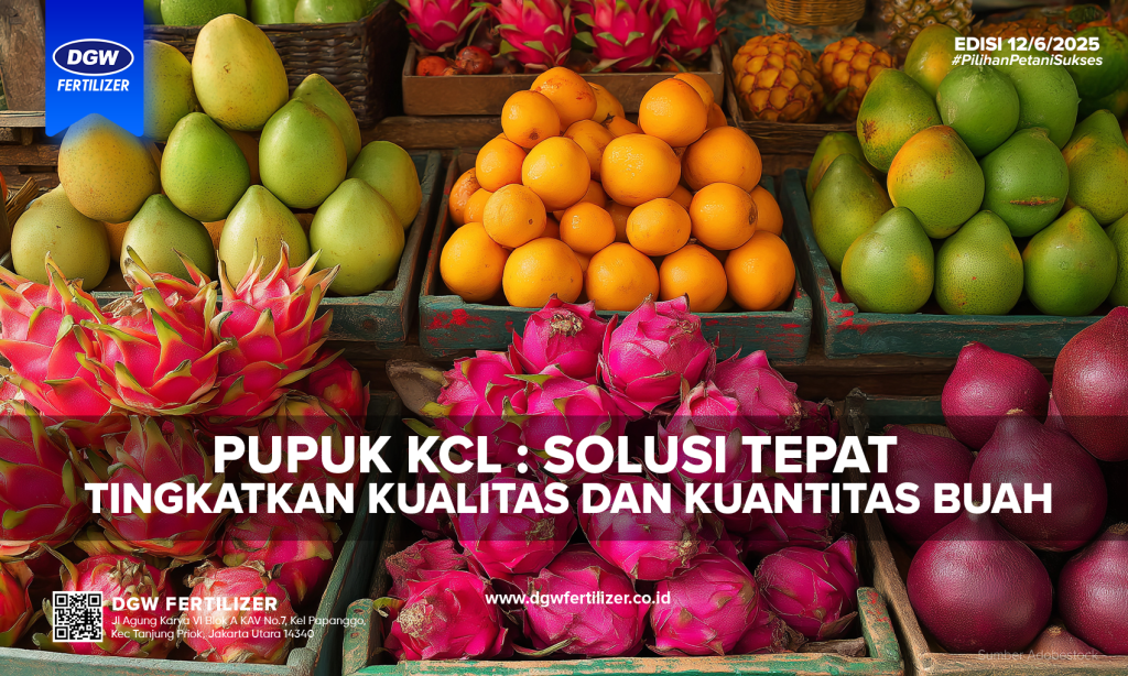pupuk-kcl