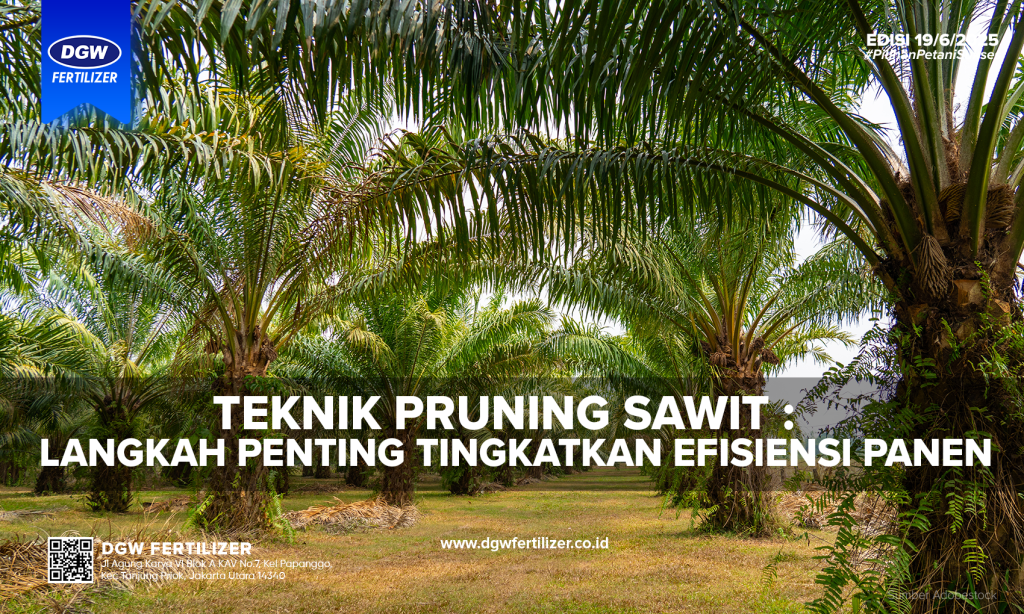 Teknik-Pruning