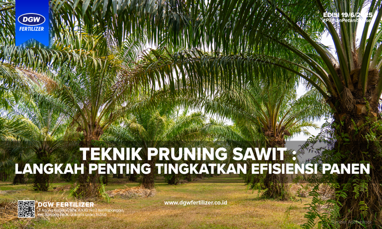 Teknik-Pruning