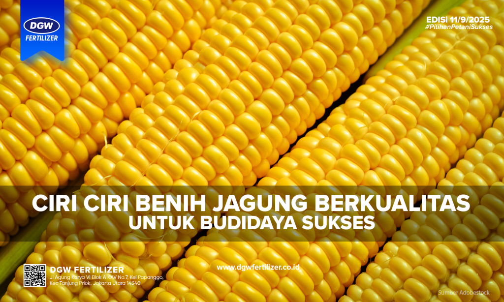 Ciri-ciri-benih-jagung
