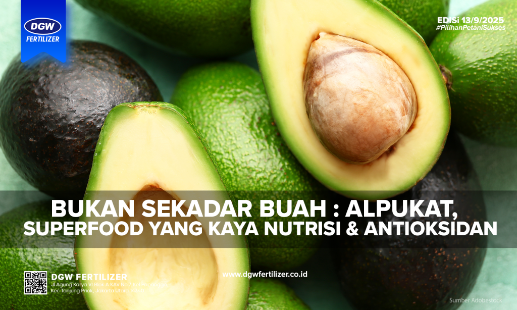 Alpukat-Superfood