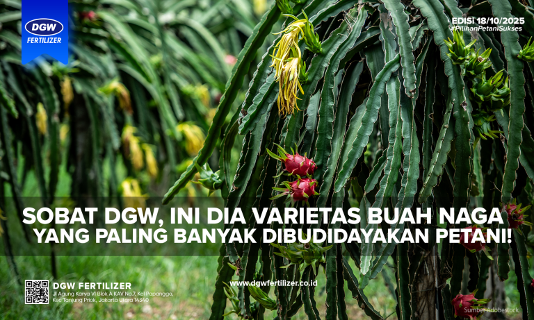 Budidaya-Buah-Naga