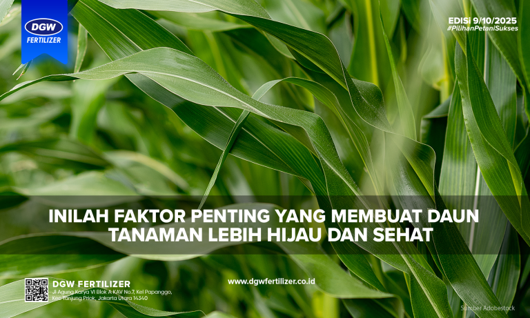 Daun-Tanaman-Lebih-Hijau