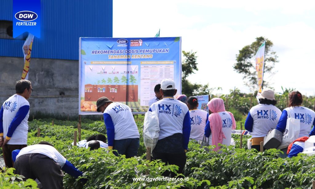 Training-Center-DGW-Fertilizer