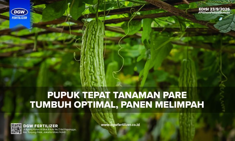 PEMUPUKAN-TANAMAN-PARE